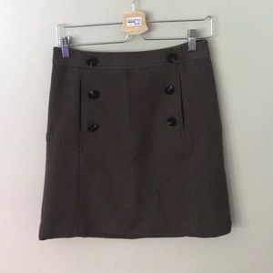 Ann Taylor skirt